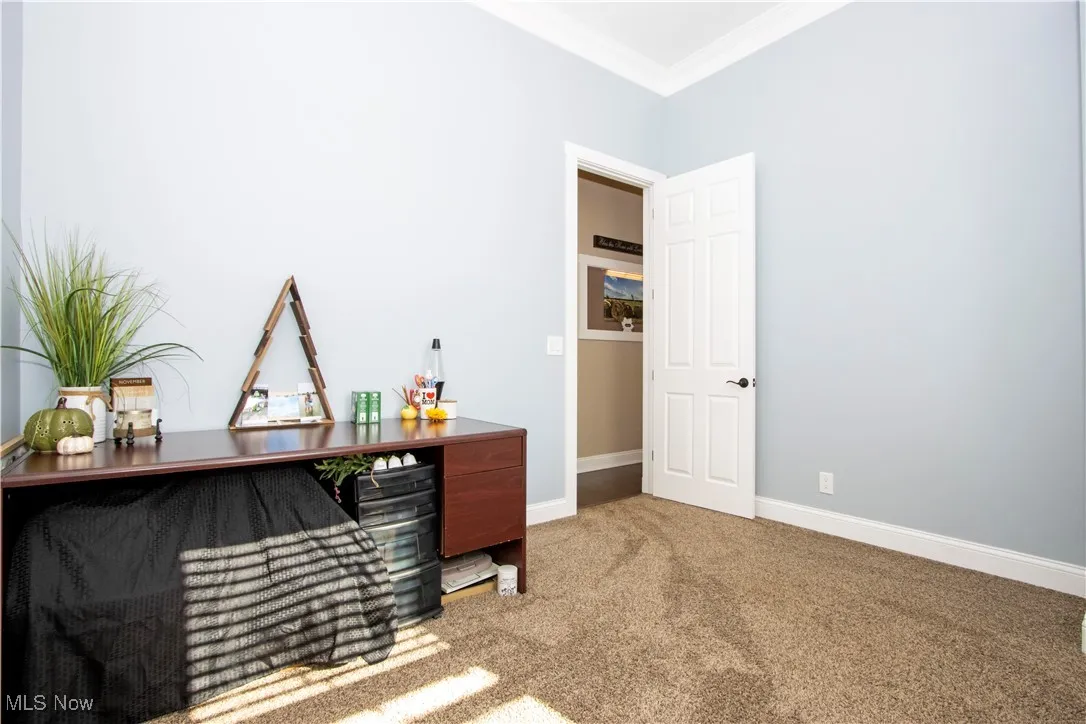 Office with light colored carpet and ornamental molding