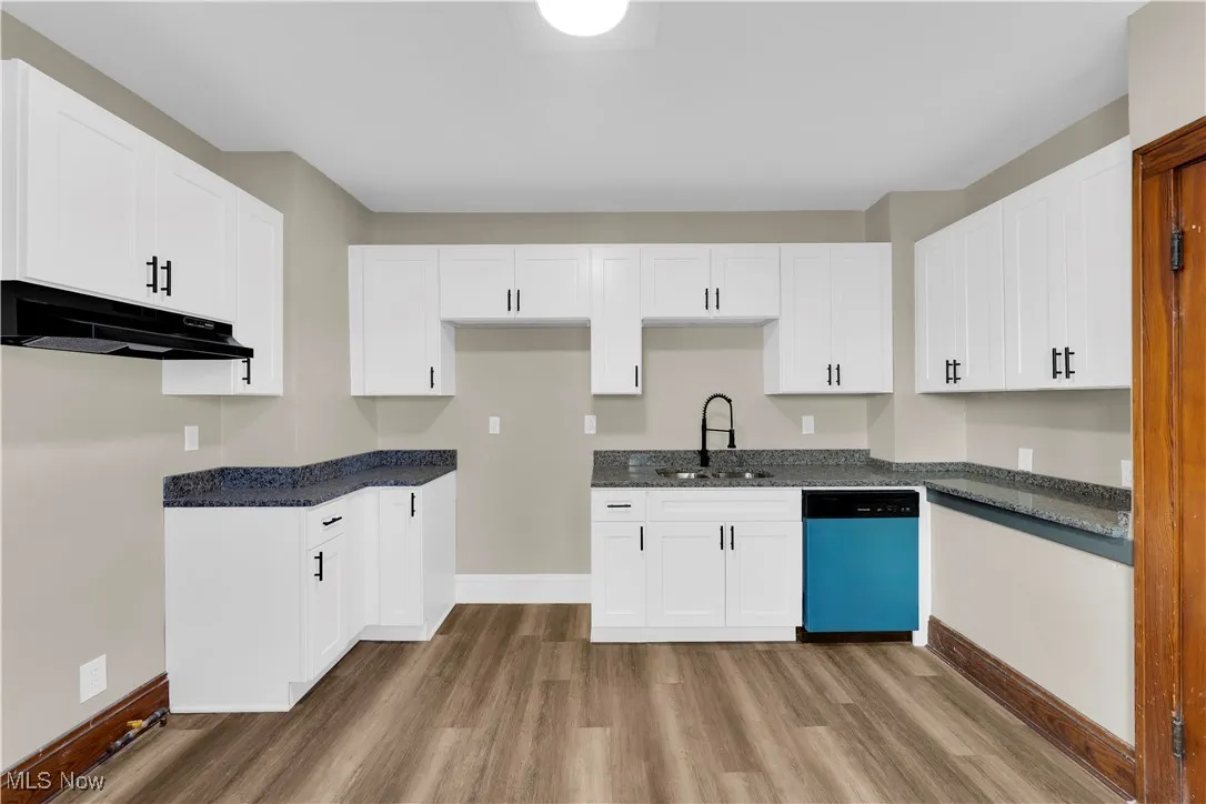 Kitchen featuring white cabinetry, light wood-style flooring, dishwashing machine, and under cabinet range hood