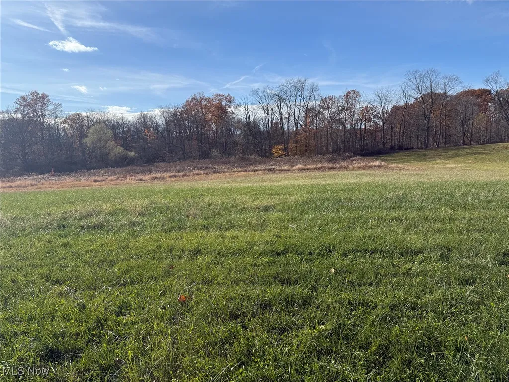 View of grassy yard with a view of countryside and a wooded view