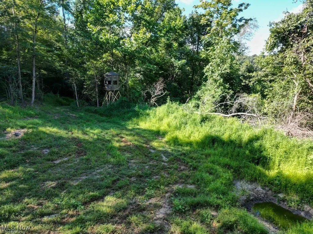 Greenlawn # 3, Quaker City, Ohio 43773,MLS Now Listing ID