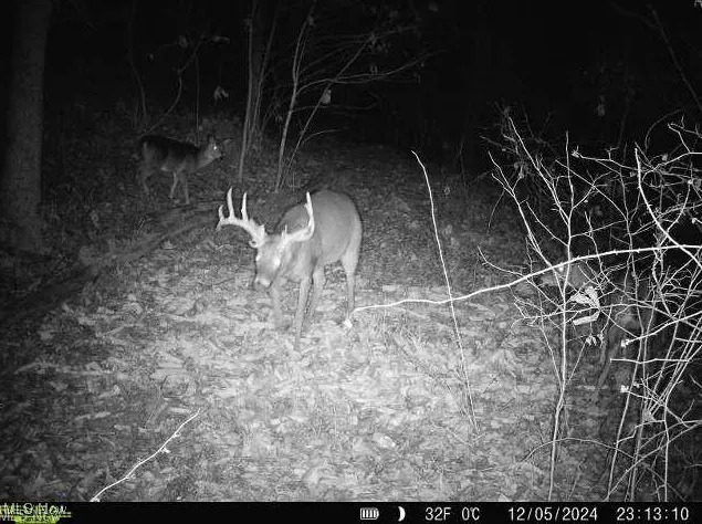 Greenlawn # 3, Quaker City, Ohio 43773,MLS Now Listing ID