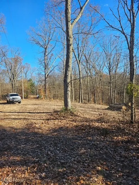 View of yard featuring a view of trees