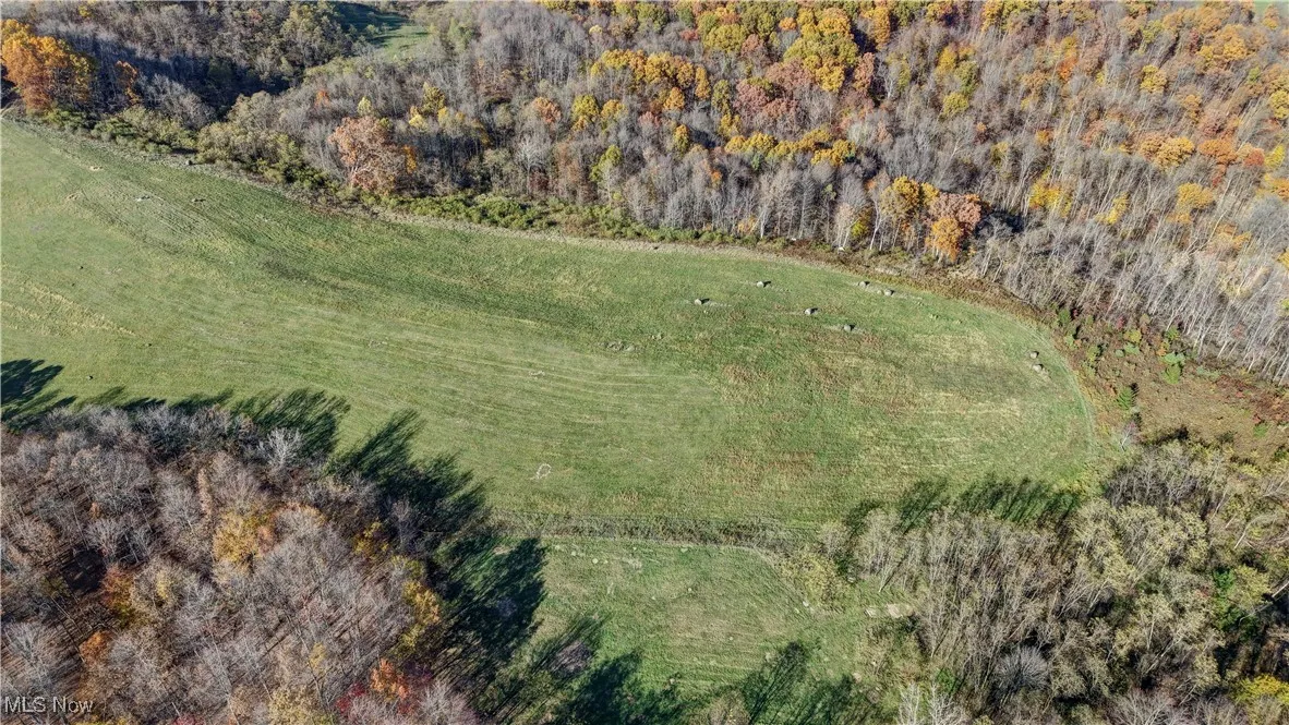 View of property location with a heavily wooded area