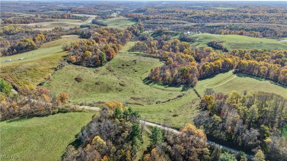 View of property location with a forest