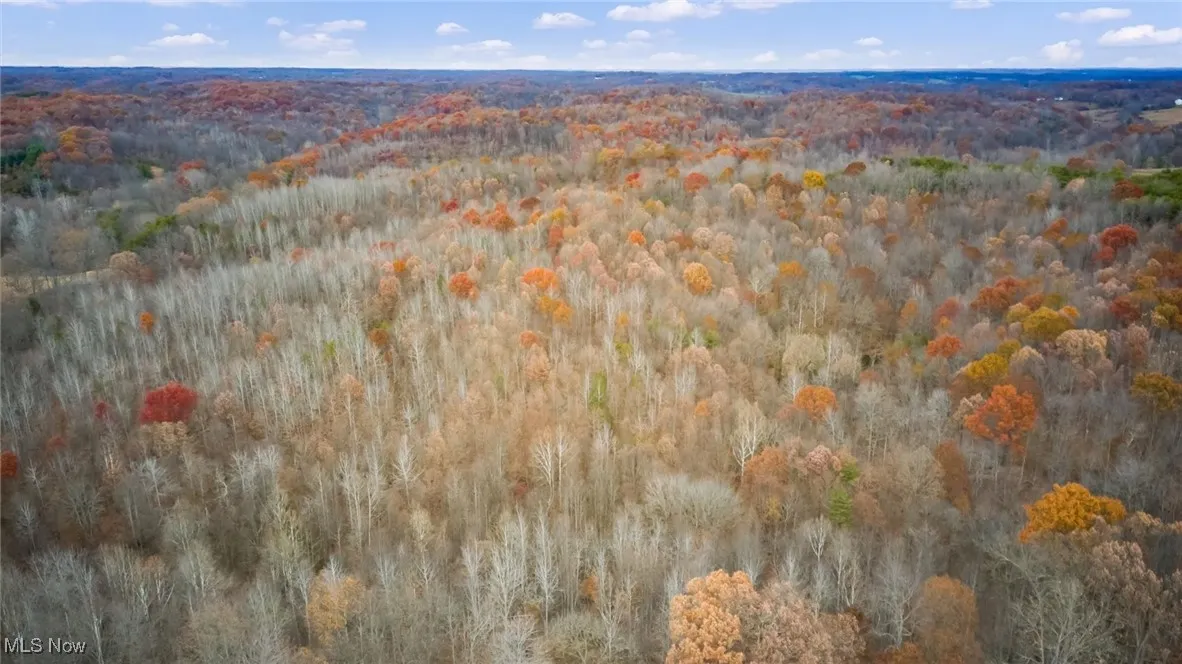 1288 Dark Hollow Road, Jackson, Ohio 45640,MLS Now Listing ID