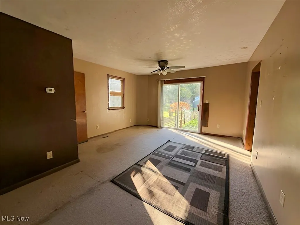 4409 Ophelia Street, Newton Falls, Ohio 44444,MLS Now Listing ID