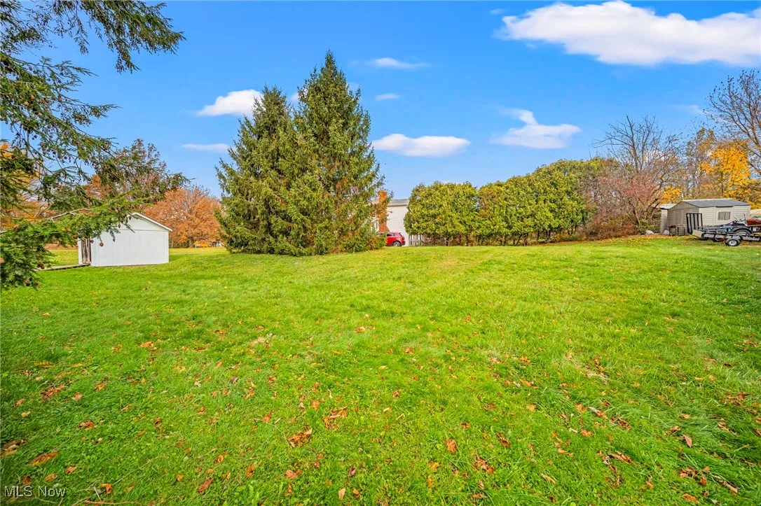 View of grassy yard with a storage unit