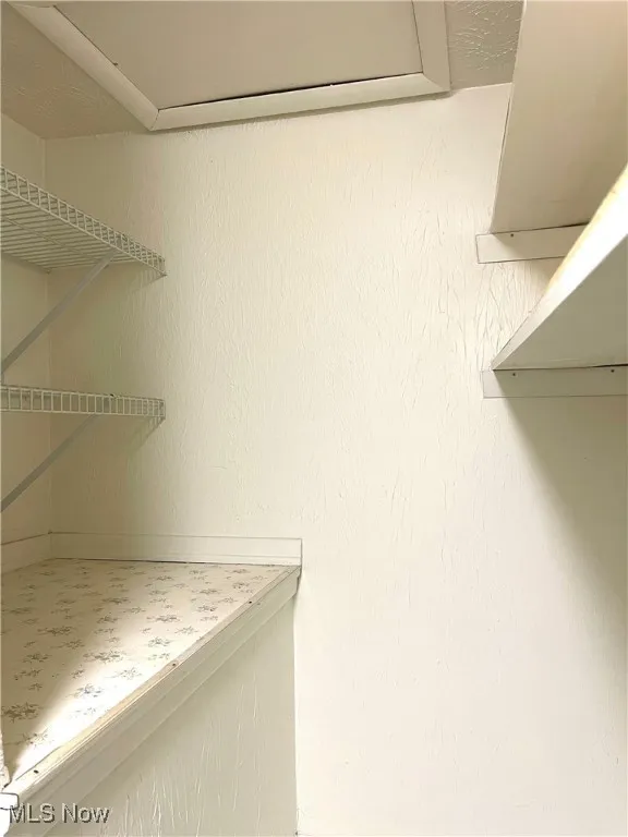 View of spacious closet