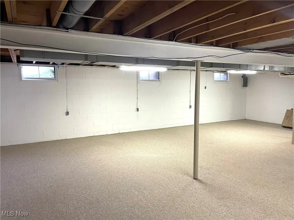 Basement featuring electric panel