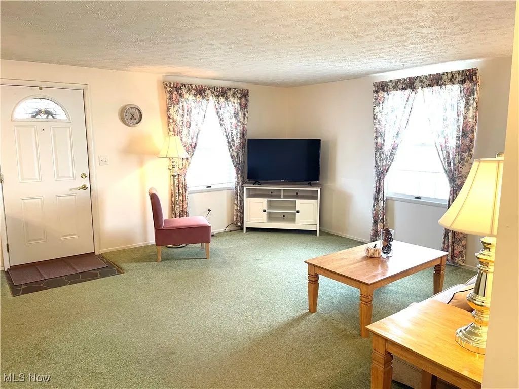 Living room with carpet and a textured ceiling