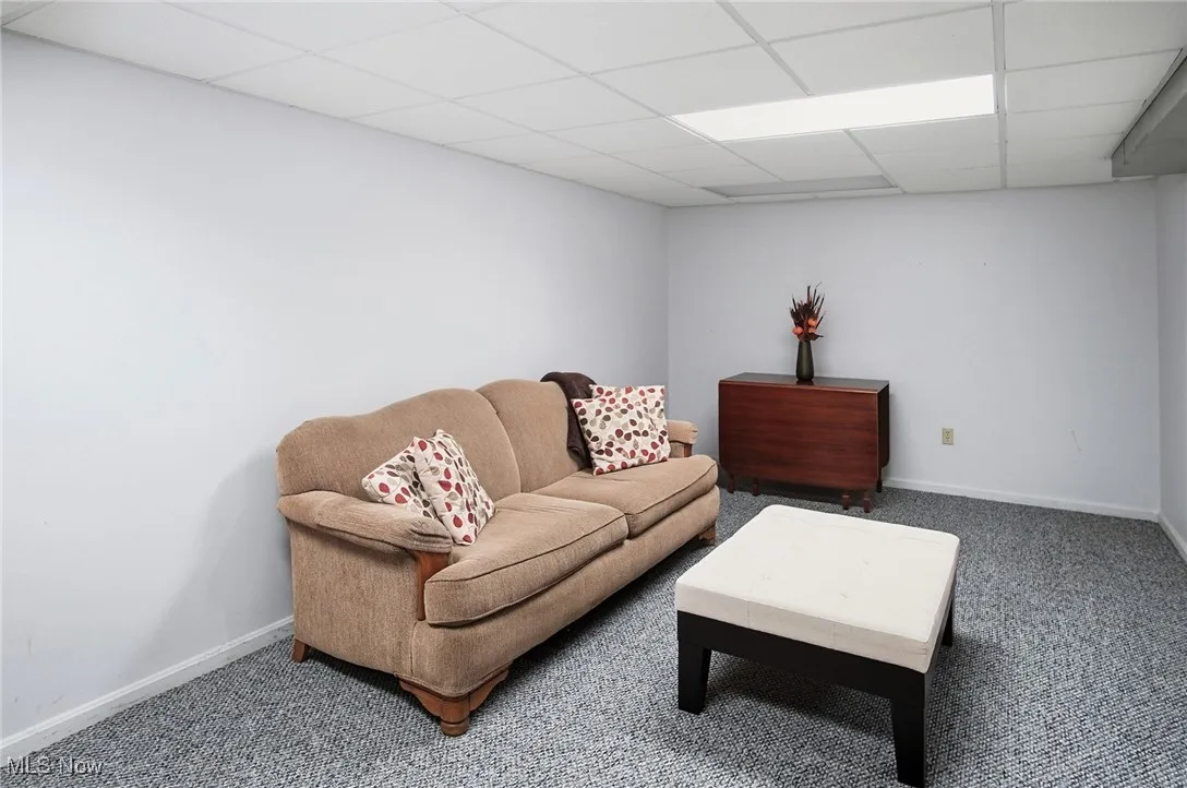 Lower Level Family Room