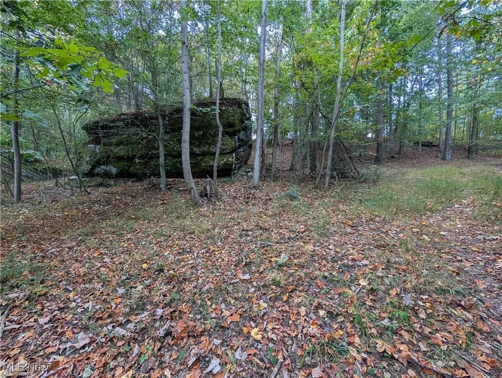 39843 County Road 33, Warsaw, Ohio 43844,MLS Now Listing ID