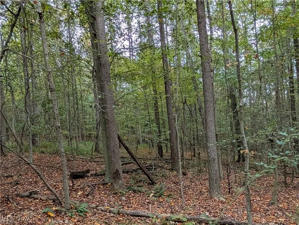 39843 County Road 33, Warsaw, Ohio 43844,MLS Now Listing ID