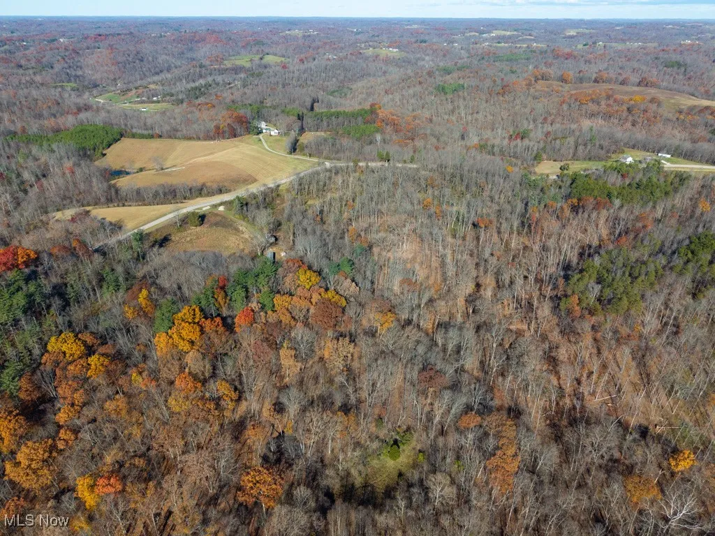 0 State Route 530, Lowell, Ohio 45744,MLS Now Listing ID