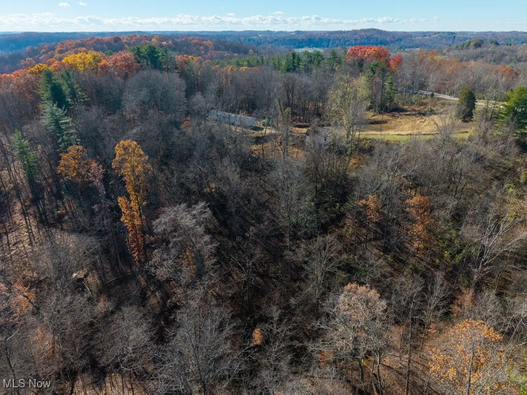 0 State Route 530, Lowell, Ohio 45744,MLS Now Listing ID