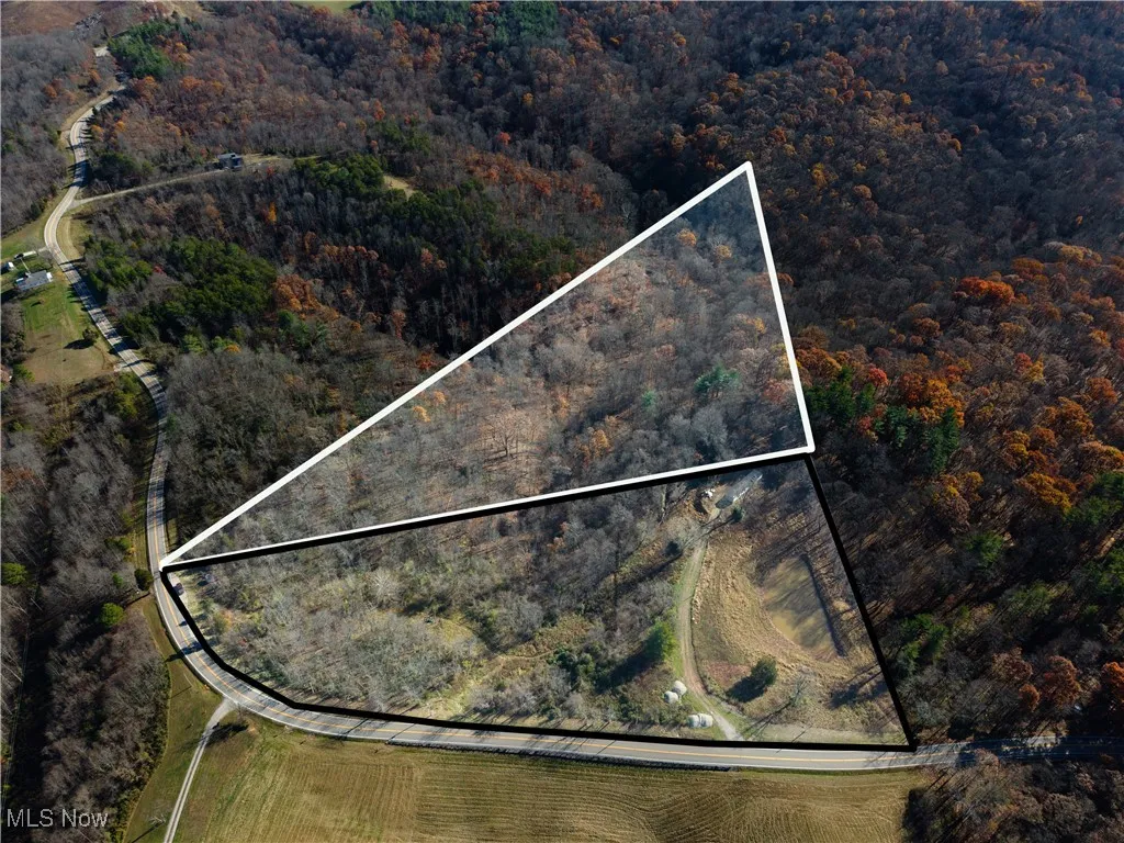 0 State Route 530, Lowell, Ohio 45744,MLS Now Listing ID