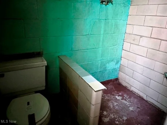 additional toilet/shower in basement