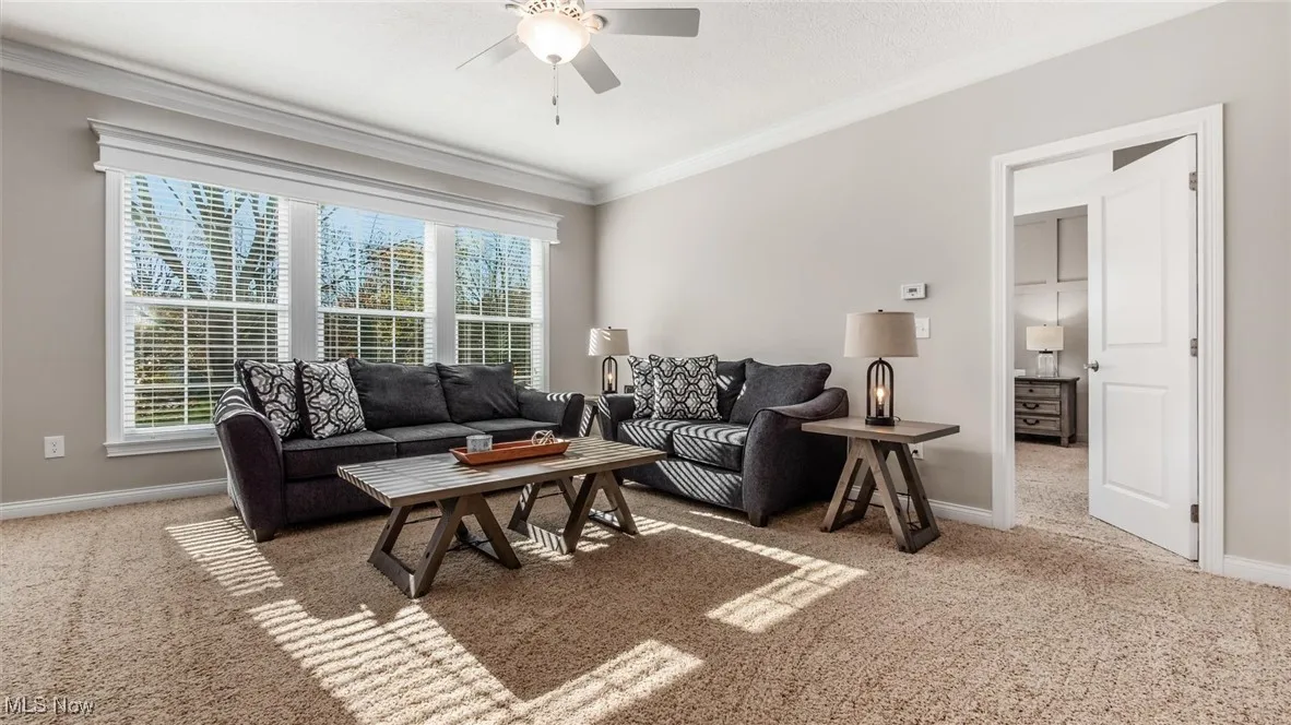 10252 Summersweet Way, Plain City, Ohio 43064,MLS Now Listing ID