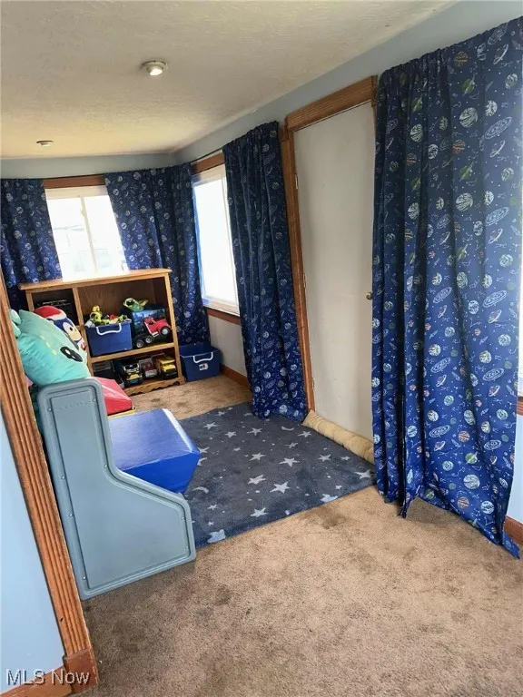 Living area featuring carpet floors and a textured ceiling