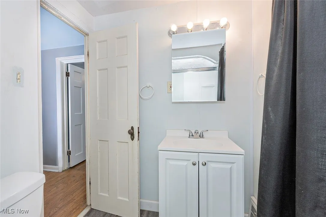 Bathroom featuring vanity, wood finished floors, and curtained shower