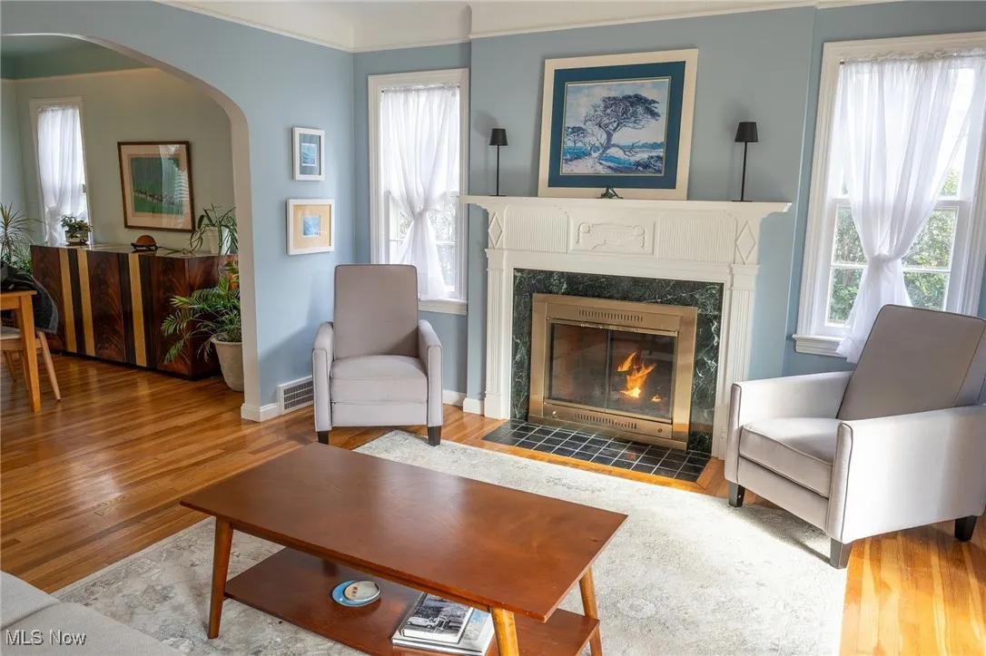 Living room with working gas fireplace