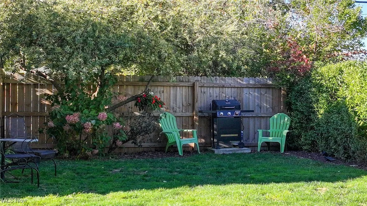 Back yard