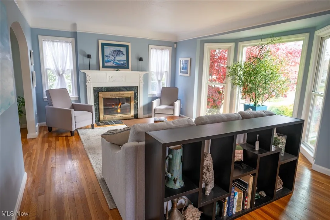 Living room with working gas fireplace