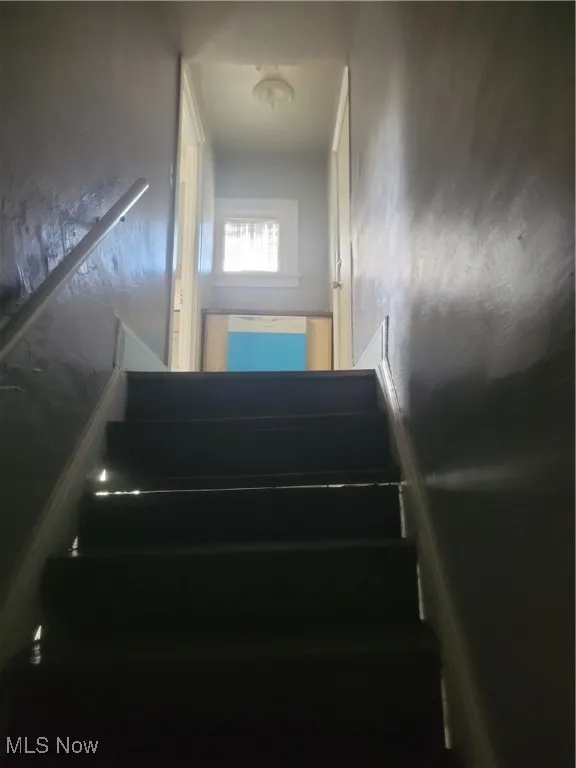 Basement of​​‌​​​​‌​​‌‌​‌‌​​​‌‌​‌​‌​‌​​​‌​​ stairs