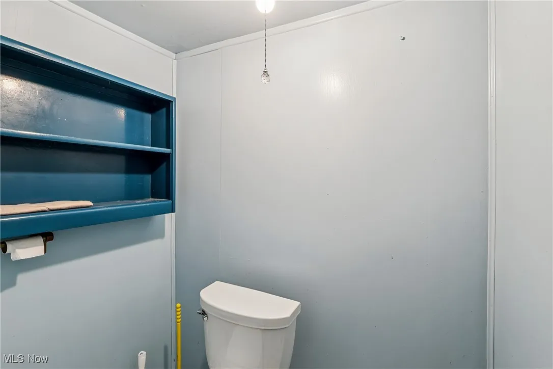 Lower level bathroom area with commode and shower
