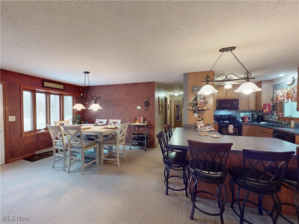 3192 Townline Road, Perry, Ohio 44081,MLS Now Listing ID