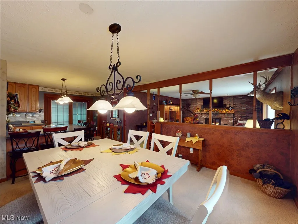 3192 Townline Road, Perry, Ohio 44081,MLS Now Listing ID