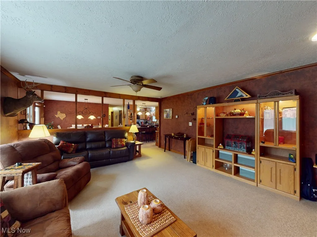 3192 Townline Road, Perry, Ohio 44081,MLS Now Listing ID