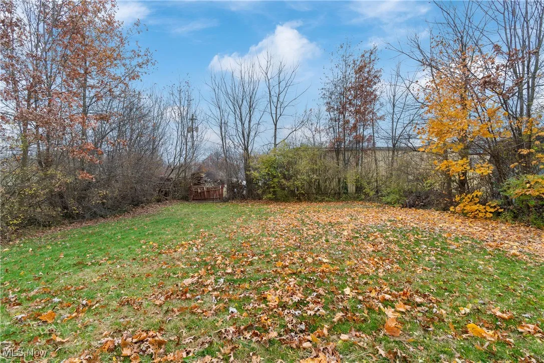 53 Thonen Street, Rittman, Ohio 44270,MLS Now Listing ID