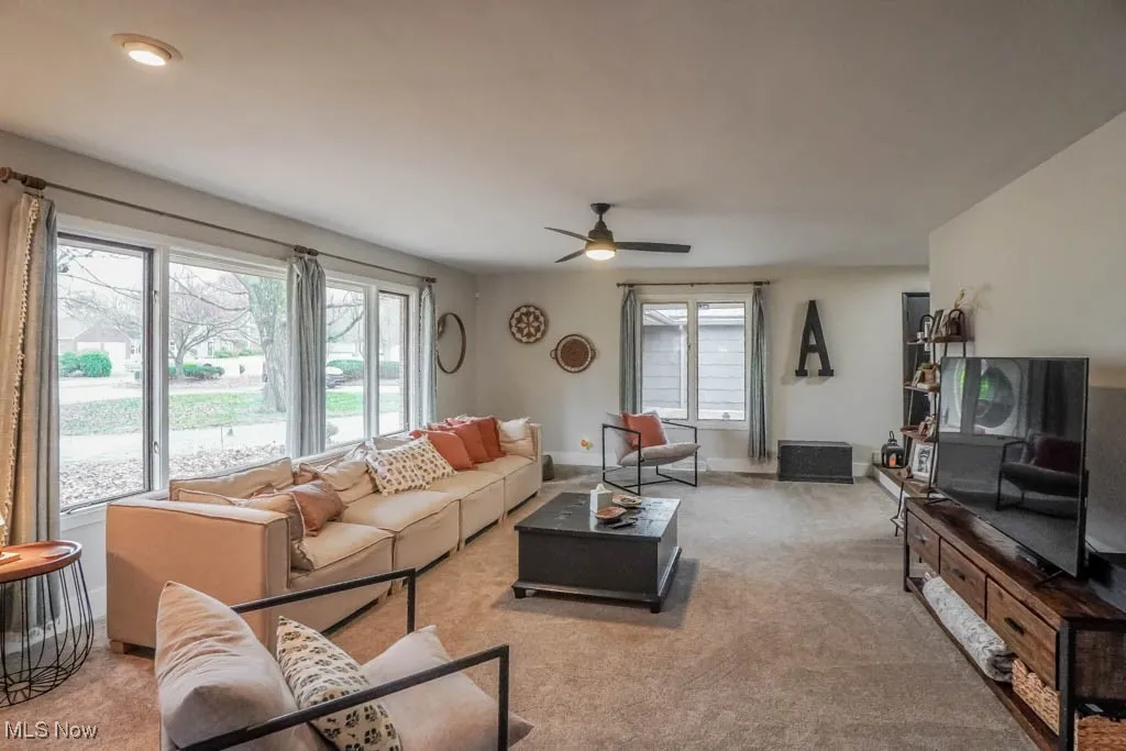 3615 Mountview Avenue, Alliance, Ohio 44601,MLS Now Listing ID