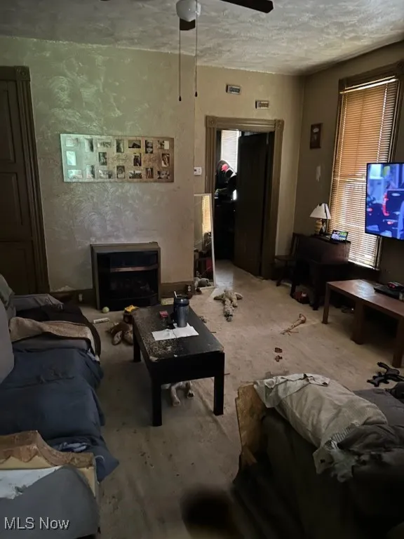 Living area with ceiling fan, a textured ceiling, and carpet flooring