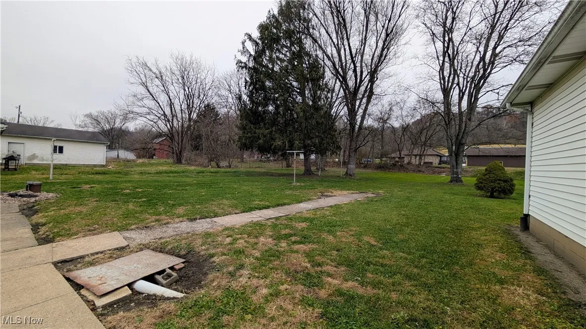 7318 State Route 150, Dillonvale, Ohio 43917,MLS Now Listing ID