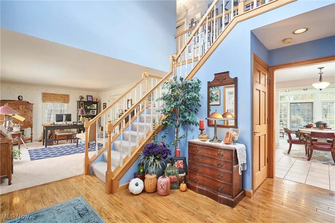Stairs featuring plenty of natural light and hardwood / wood-style floors