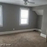 Bonus room featuring a ceiling fan and carpet flooring