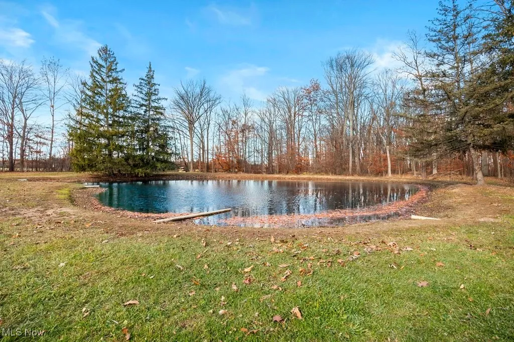 43401 Peck Wadsworth Road, Wellington, Ohio 44090,MLS Now Listing ID
