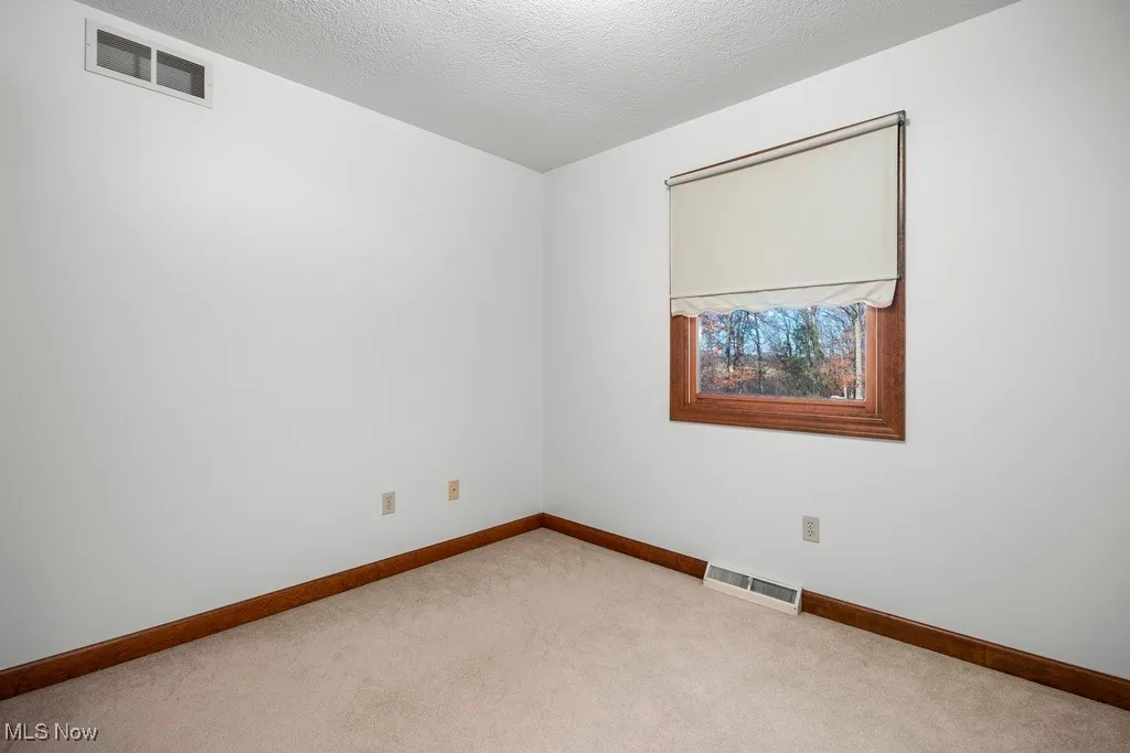 43401 Peck Wadsworth Road, Wellington, Ohio 44090,MLS Now Listing ID