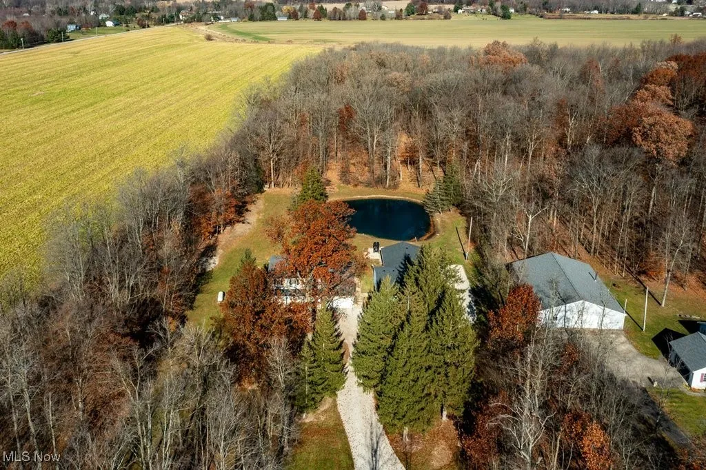 43401 Peck Wadsworth Road, Wellington, Ohio 44090,MLS Now Listing ID