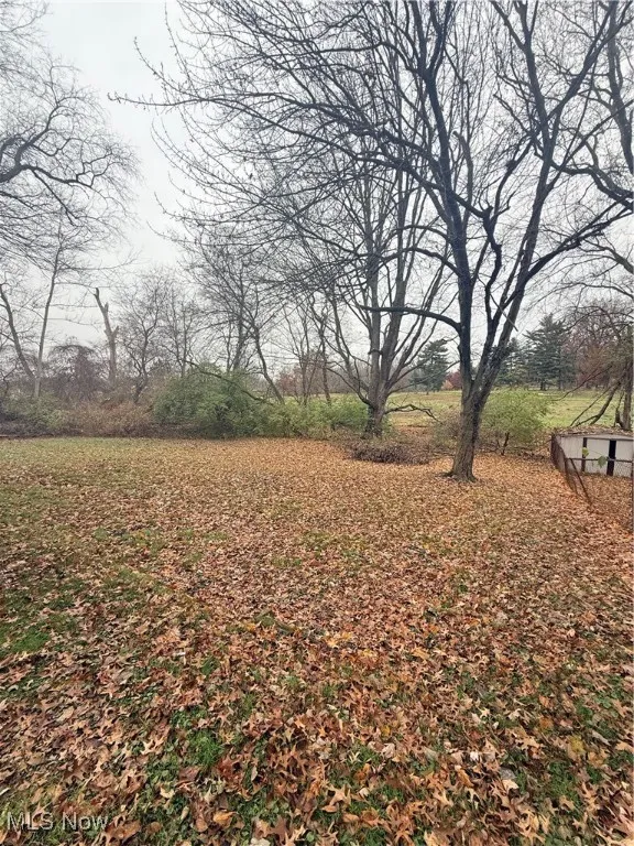 1859 Delia Avenue, Akron, Ohio 44320,MLS Now Listing ID