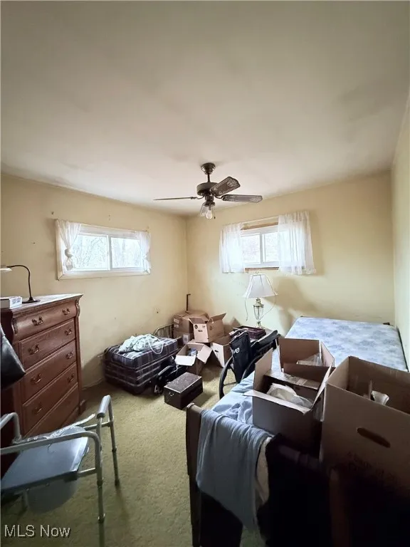 1859 Delia Avenue, Akron, Ohio 44320,MLS Now Listing ID