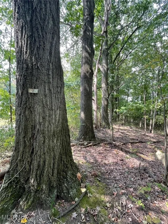 View of undeveloped land