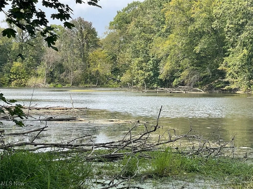 Water view featuring a forest