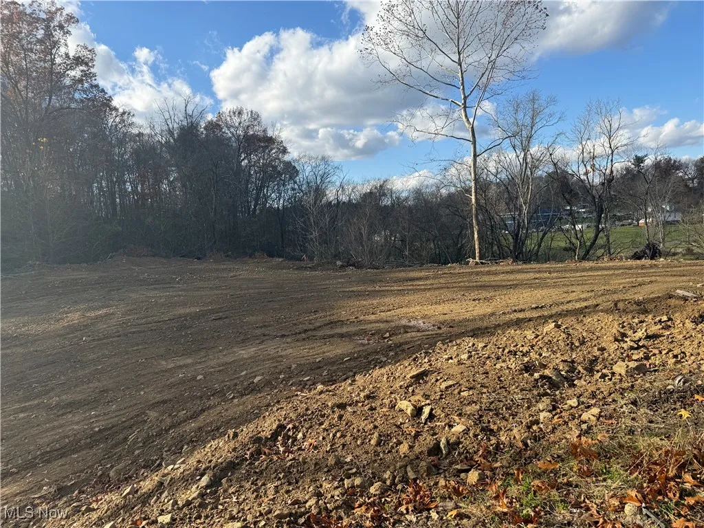 View of undeveloped land