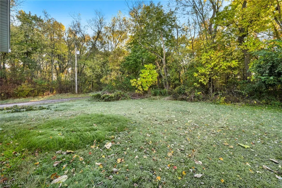 1245 Jersey Street, Alliance, Ohio 44601,MLS Now Listing ID