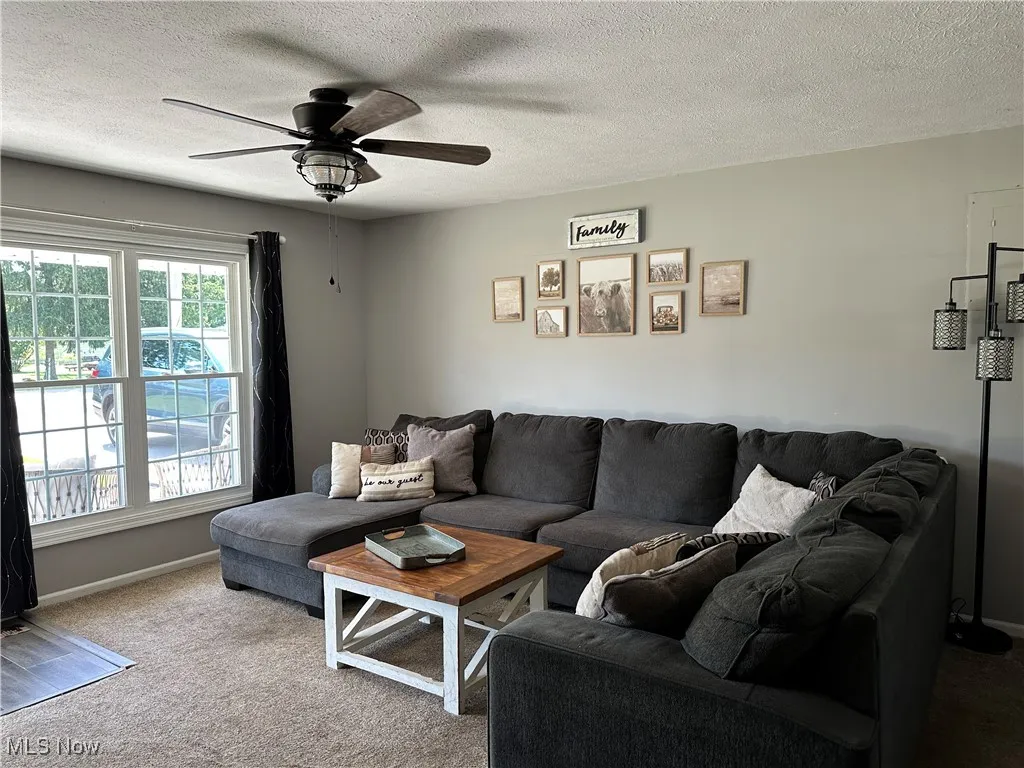 Living area with a textured ceiling, carpet, and a ceiling fan