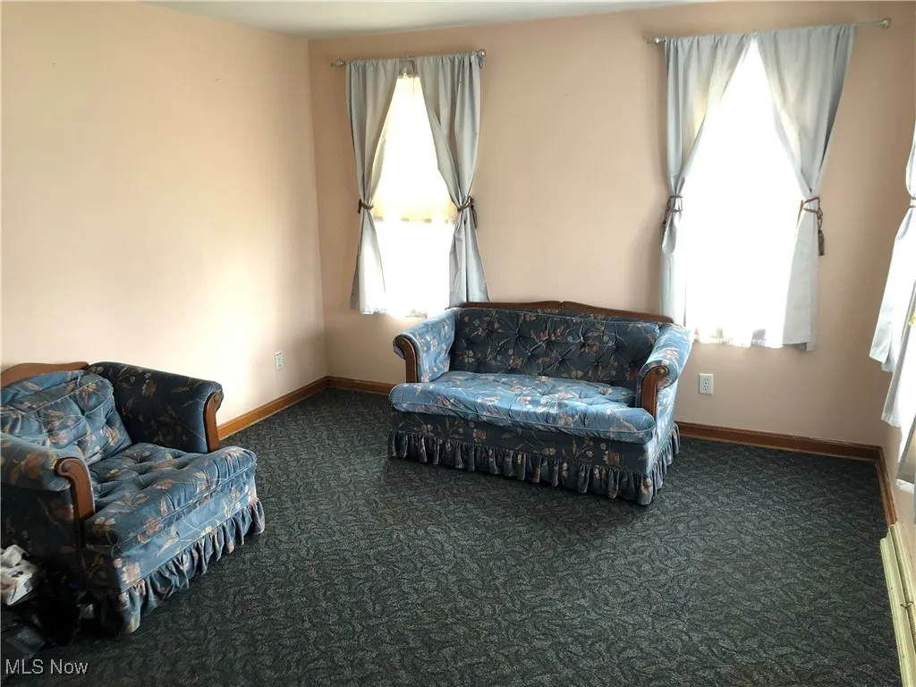 223 Georgia Avenue, Lorain, Ohio 44052,MLS Now Listing ID