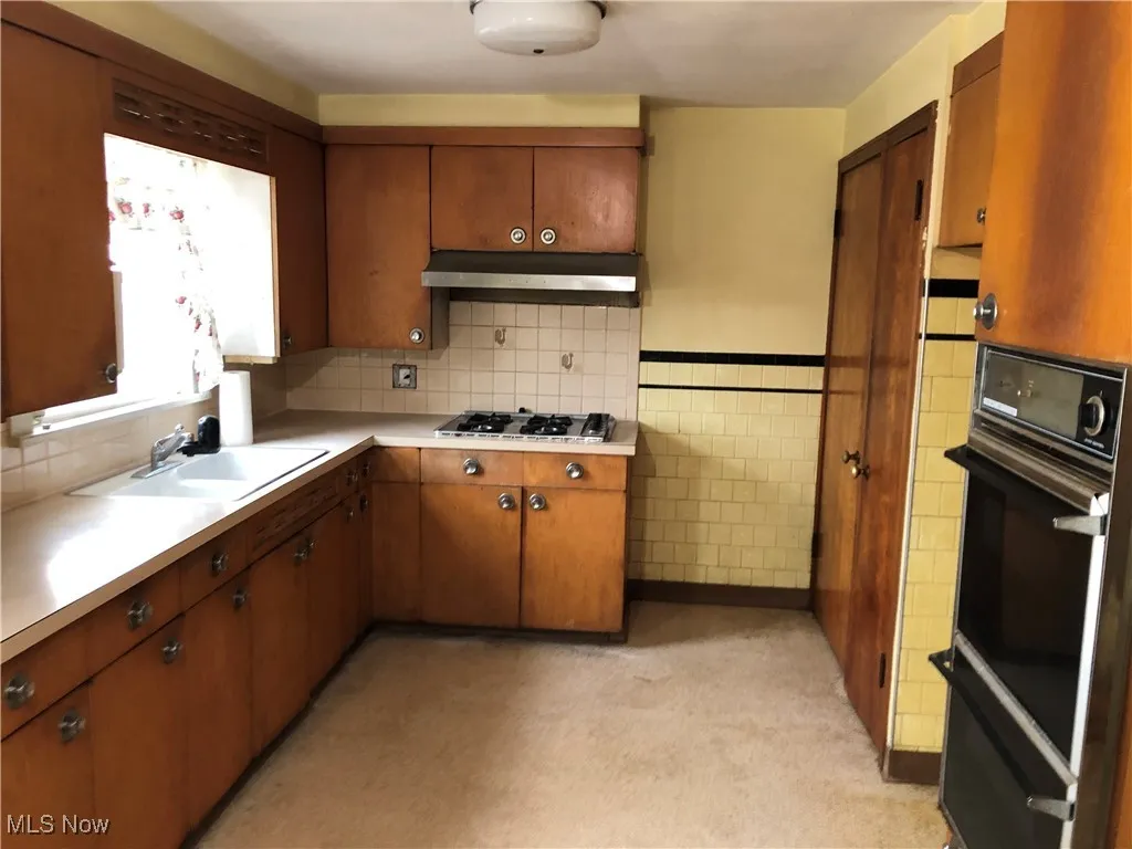 223 Georgia Avenue, Lorain, Ohio 44052,MLS Now Listing ID